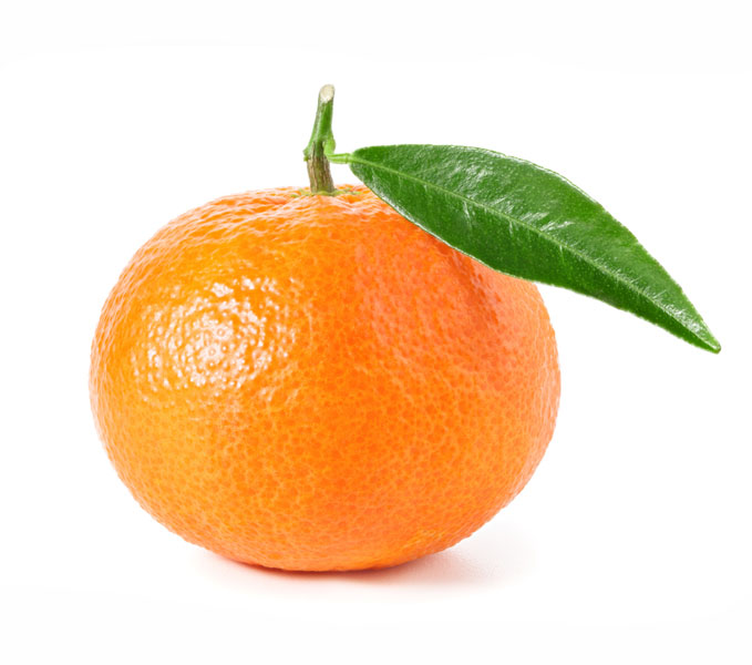 نهال نارنگی یاشار